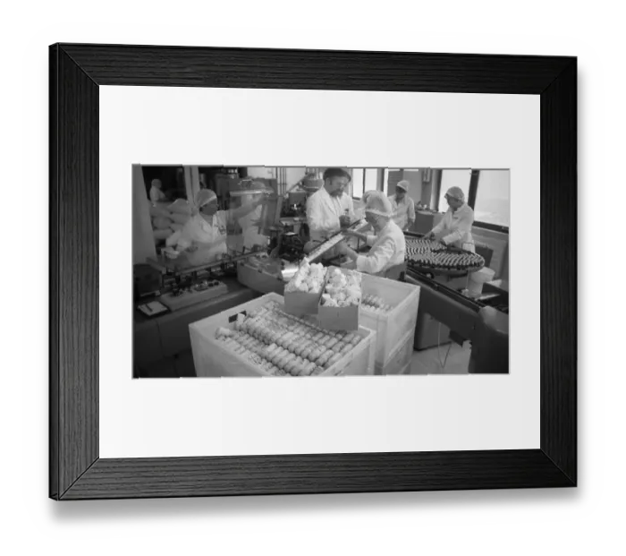 Framed Print : Jobs at the pharmaceutical production Medice on 12 Framed Print : Jobs at the pharmaceutical production Medice on 12