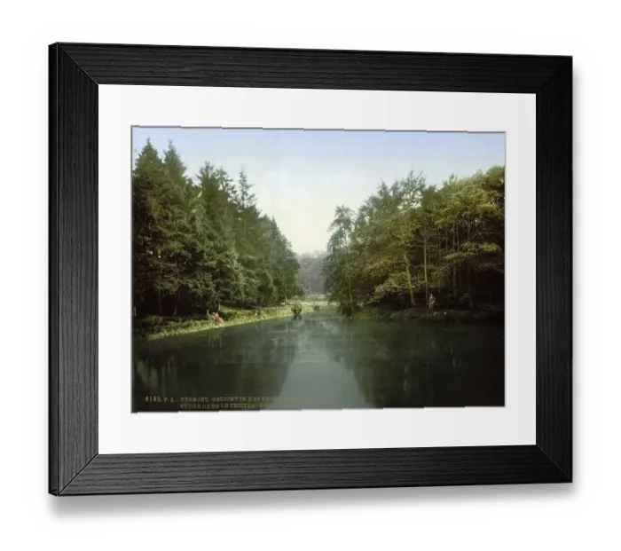 Framed Print : In the Zeister Forest, Utrecht