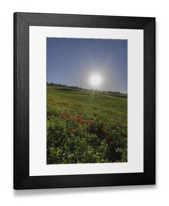 Framed Print : Landscape at sunrise around Pienza