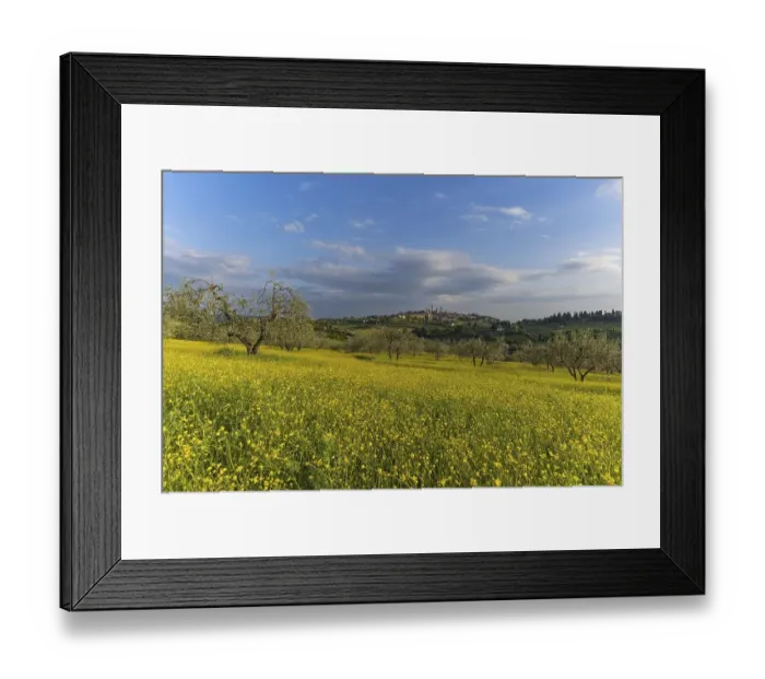 Framed Print : San Gimignano, Tuscany, Italy, Europe Framed Print : San Gimignano, Tuscany, Italy, Europe