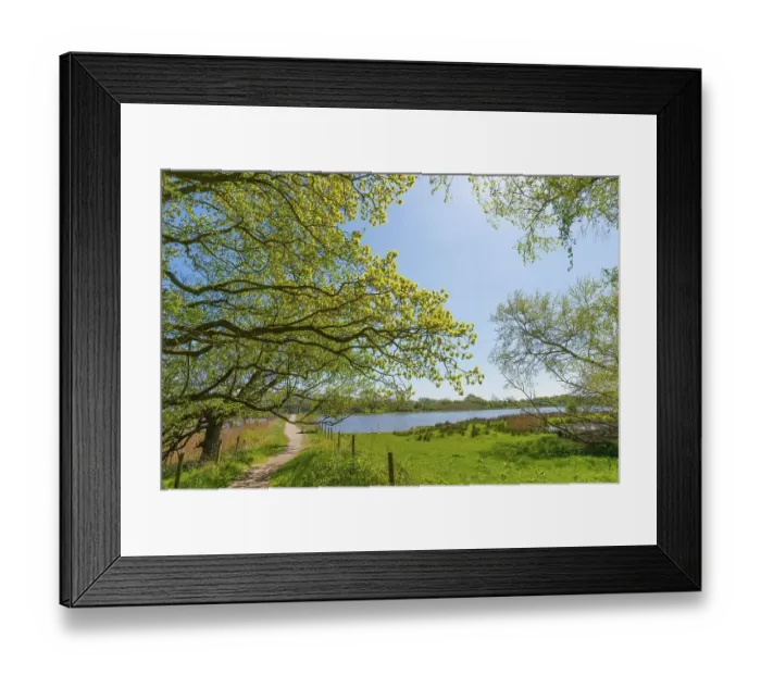 Framed Print : Nature reserve, NSG Geltinger Birk
