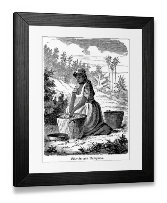 Framed Print : Peasant woman, harvest, basket
