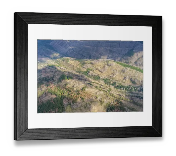 Framed Print : Aerial view of forest dieback in the Harz Mountains Framed Print : Aerial view of forest dieback in the Harz Mountains