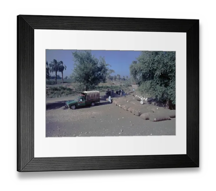 Framed Print : Sacks of cotton, van, people, trees