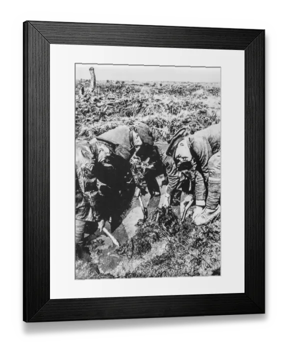 Framed Print : 1920 search party of the Imperial War Graves Commission Framed Print : 1920 search party of the Imperial War Graves Commission