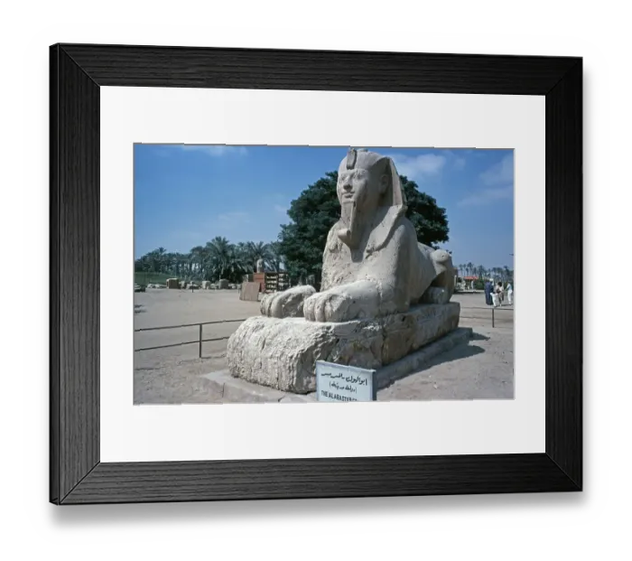 Framed Print : Alabaster sphinx, Memphis, Cairo Framed Print : Alabaster sphinx, Memphis, Cairo
