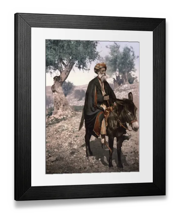 Framed Print : Native of Bethlehem on his donkey