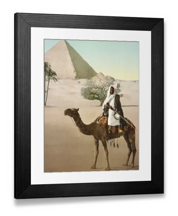 Framed Print : Cairo, Bedouin riding camel in front of pyramid Framed Print : Cairo, Bedouin riding camel in front of pyramid