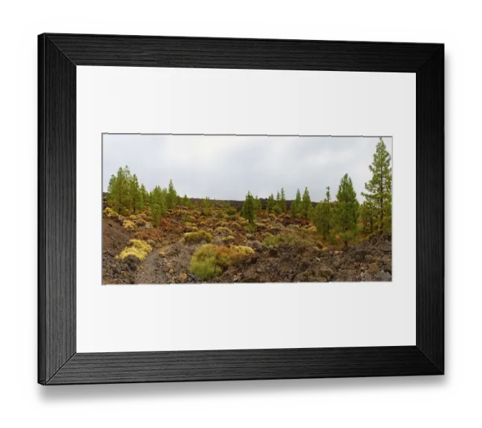 Framed Print : Teide National Park, Tenerife, Canary Islands