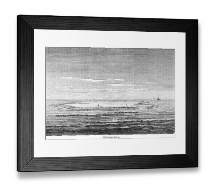 Framed Print : Whit Sunday Island, whitsunday island Framed Print : Whit Sunday Island, whitsunday island