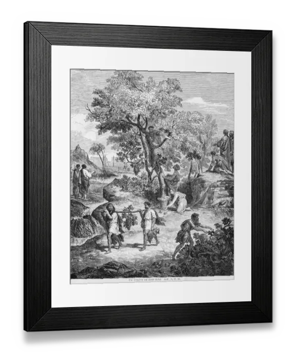 Framed Print : The grapes at the brook Estol, grapes Framed Print : The grapes at the brook Estol, grapes