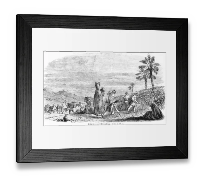 Framed Print : Reapers and Harvesters, agriculture Framed Print : Reapers and Harvesters, agriculture