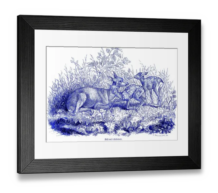 Framed Print : Roe deer with two fawns in the grass Framed Print : Roe deer with two fawns in the grass