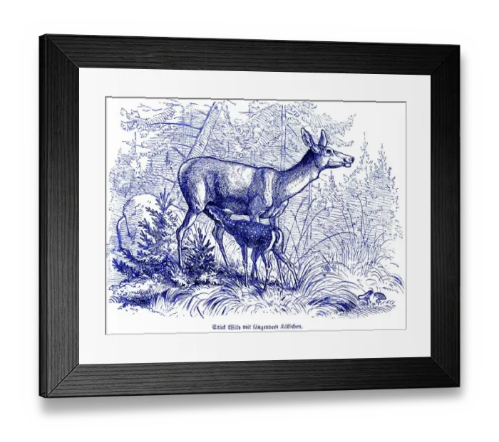 Framed Print : Roe deer with suckling calf, Hubertus hunting and hunting scenes