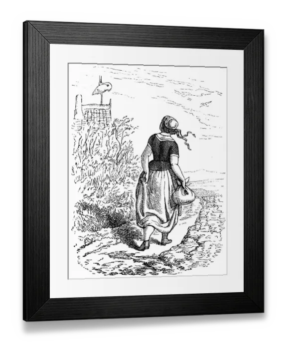 Framed Print : Fritz Reuter (1810) (1874) Low German writer and poet
