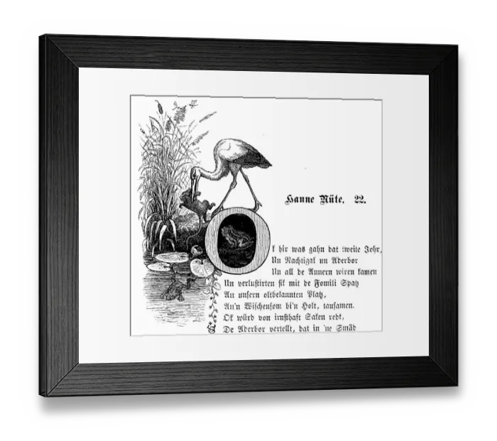 Framed Print : Fritz Reuter (1810) (1874) Low German writer and poet Framed Print : Fritz Reuter (1810) (1874) Low German writer and poet