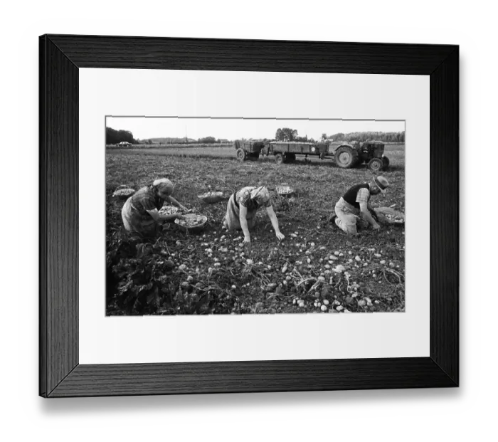 Framed Print : Farmers working in the fields in Muensterland on 10