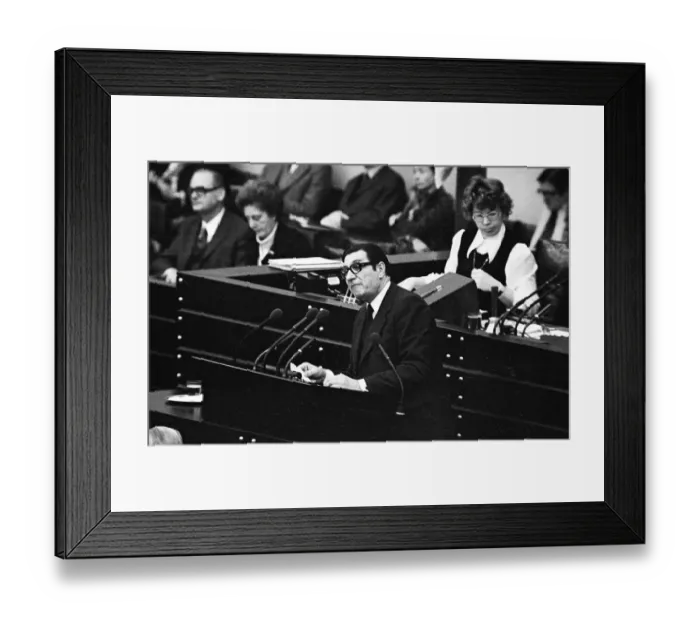 Framed Print : The German Bundestag with the debate on the Radical Decree on 15
