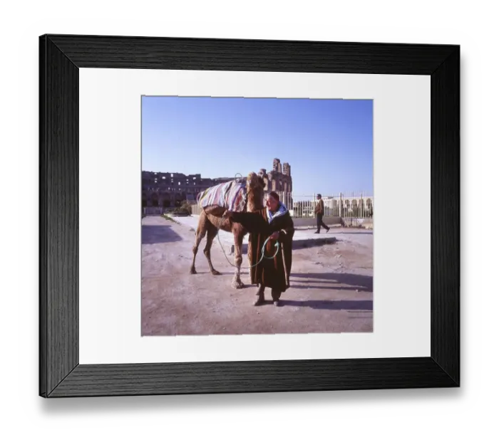 Framed Print : Tunisia with Hammamet by the sea on12 Framed Print : Tunisia with Hammamet by the sea on12