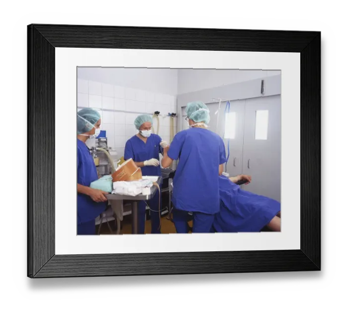 Framed Print : Various photos from the field of medicine