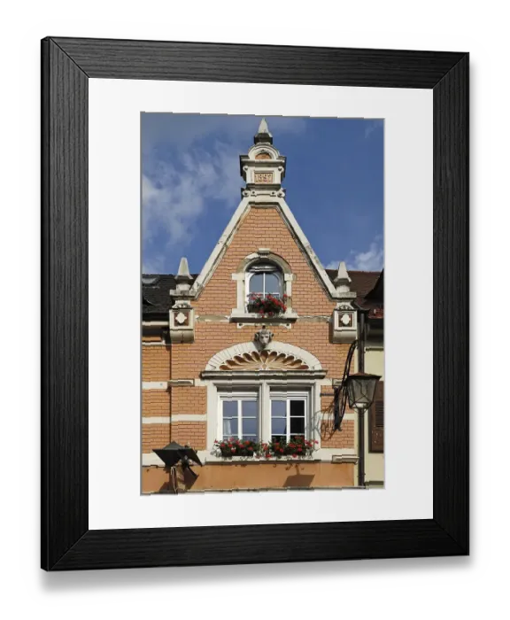 Framed Print : Historic house facade from 1897