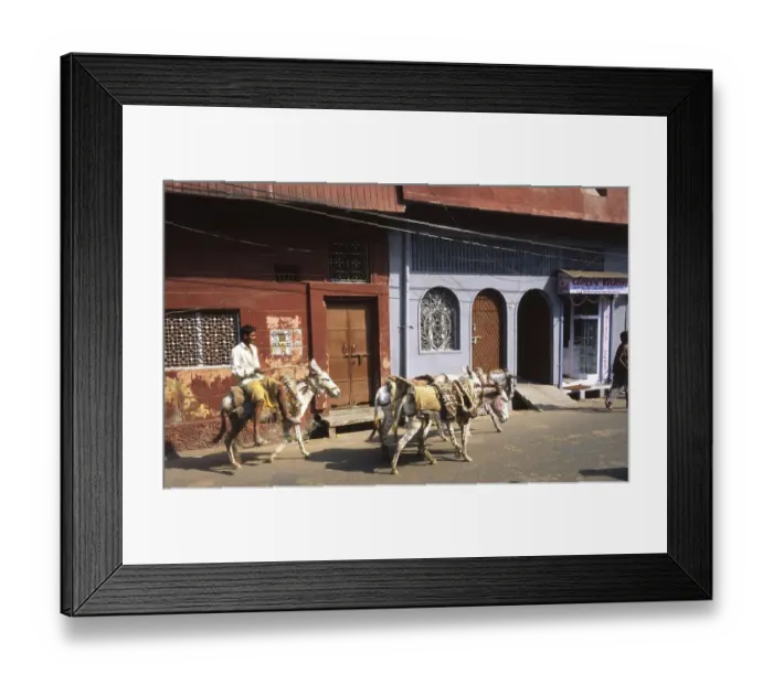Framed Print : Traffic, here in New Delhi, Agra and Central India in October 1999
