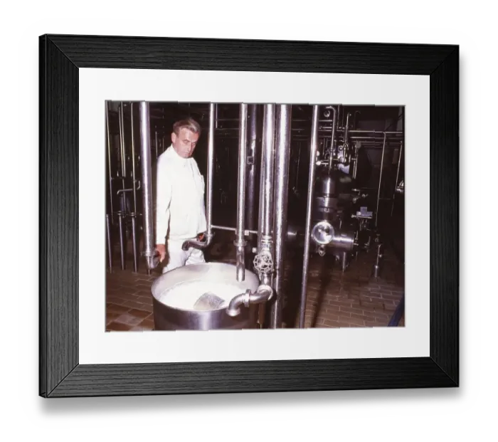 Framed Print : DEU, Germany: The historical slides from the times 80-90s