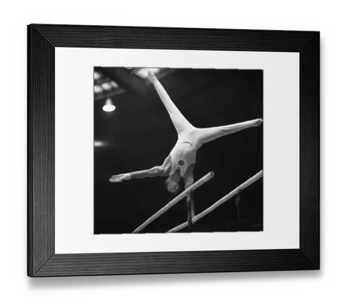 Framed Print : DEU, Germany, Dortmund: Personalities from politics