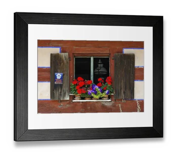 Framed Print : Window with flowering geraniums (Pelargonium peltatum hybrids) on a farmhouse from 1684
