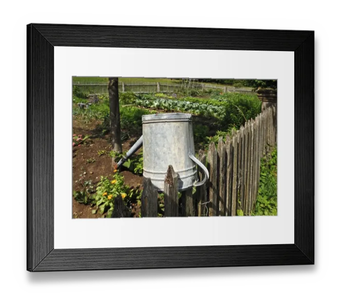Framed Print : Watering can on a wooden fence near the farm garden