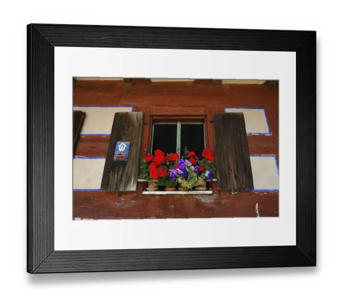 Framed Print : Window with flowering geraniums (Pelargonium peltatum hybrids) on a farmhouse from 1684