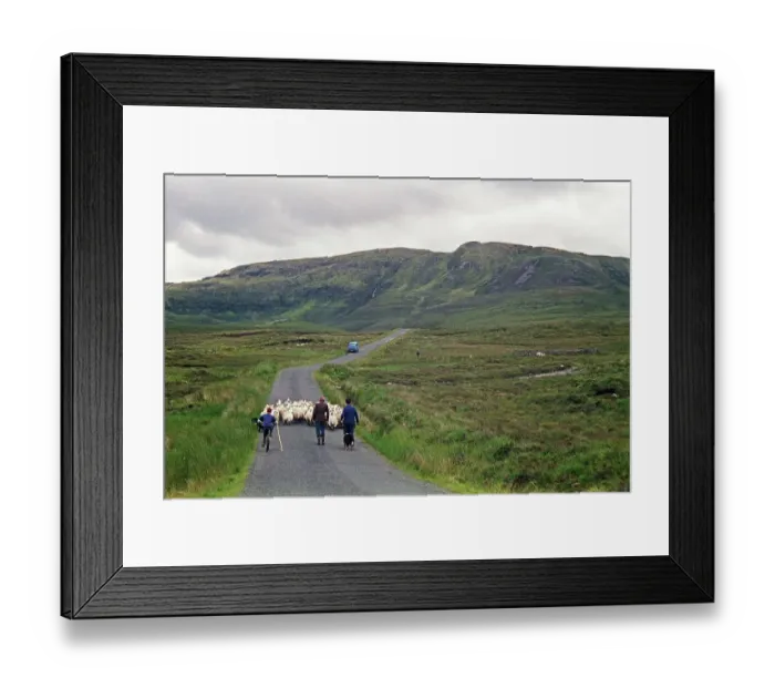 Framed Print : Sheep on the road, farmer, farmer's sons