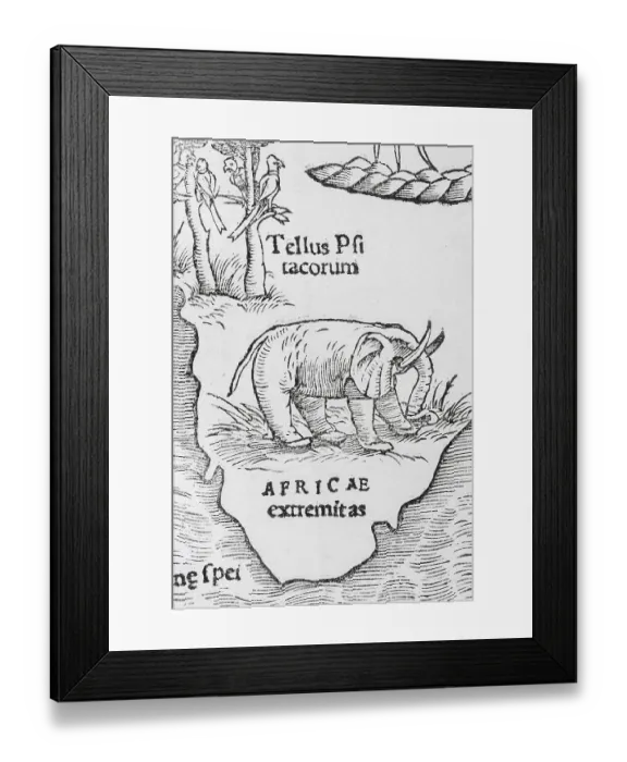 Framed Print : Elephant, detail, earliest printed map of the entire African continent Framed Print : Elephant, detail, earliest printed map of the entire African continent