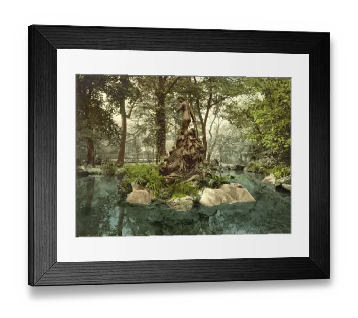 Framed Print : Group of nymphs in a lake in the park of Karlsruhe Framed Print : Group of nymphs in a lake in the park of Karlsruhe