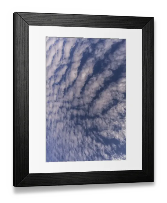Framed Print : Cloud formations (Altocumulus undulatus) Framed Print : Cloud formations (Altocumulus undulatus)