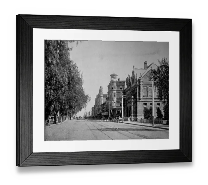 Framed Print : Houses and trees along Main Street in Los Angeles