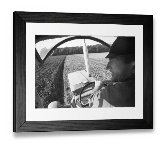 Framed Print : Farmers working in the fields in Muensterland on 10 Framed Print : Farmers working in the fields in Muensterland on 10
