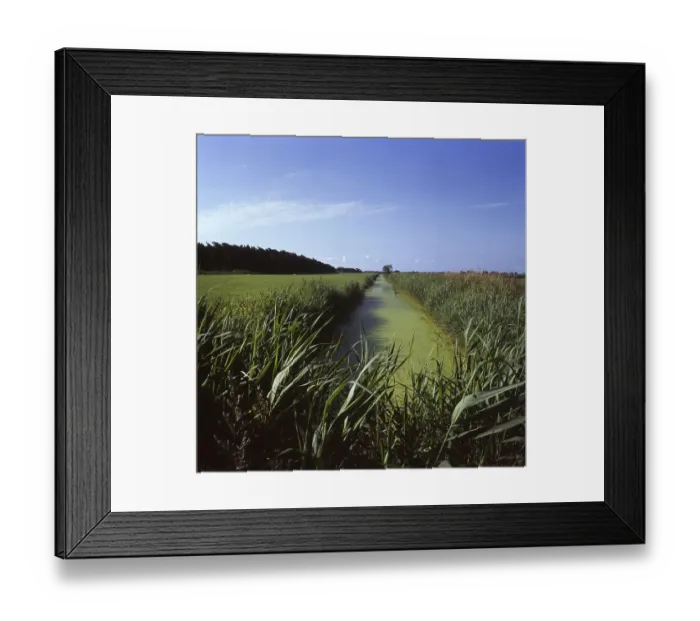 Framed Print : The visit to the landscapes on Ruegen