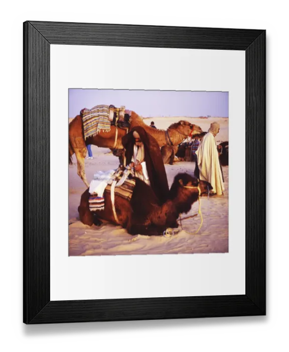 Framed Print : Tunisia with Hammamet by the sea on12