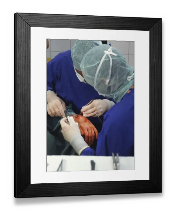 Framed Print : Various photos from the field of medicine Framed Print : Various photos from the field of medicine
