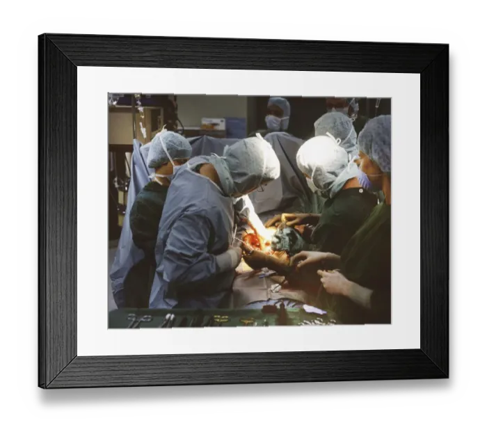 Framed Print : Events in family, society, leisure Framed Print : Events in family, society, leisure