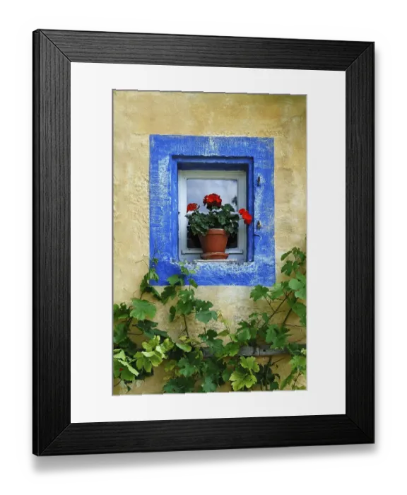Framed Print : Small window with geraniums and blue border