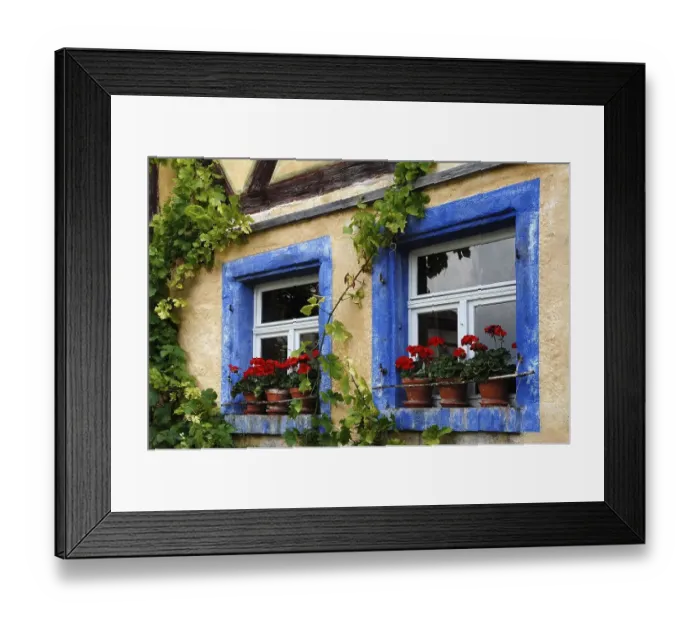 Framed Print : Window with geraniums on the Haeckerhaus built in 1717