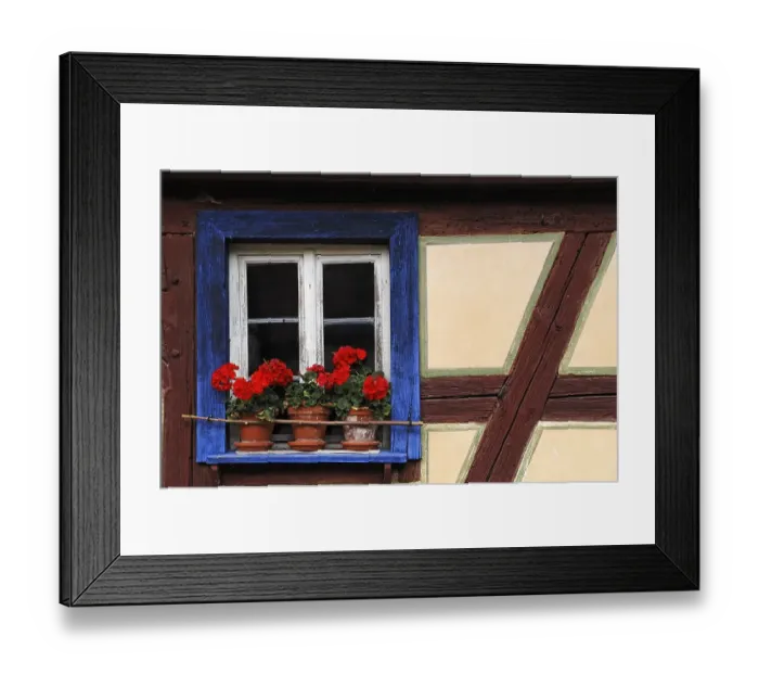 Framed Print : Window with geraniums and blue border