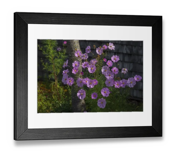 Framed Print : Jewellery basket (Cosmea), Bavaria