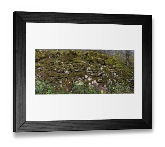 Framed Print : Mossy dry stone wall, Egloffstein Framed Print : Mossy dry stone wall, Egloffstein