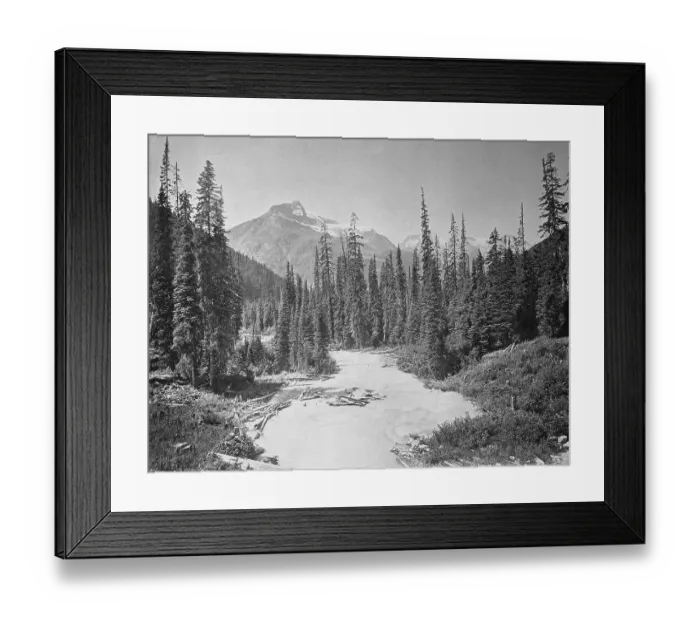 Framed Print : The Illicilliwaet River, also Illecillewaet River flows through forested landscape
