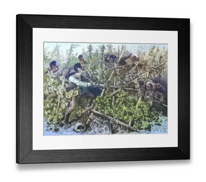 Framed Print : Bavarian infantry battling Turcos and Znaben in the hop fields near Weissenburg Framed Print : Bavarian infantry battling Turcos and Znaben in the hop fields near Weissenburg