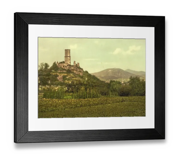 Framed Print : Ruin of the castle in Bad Godesberg