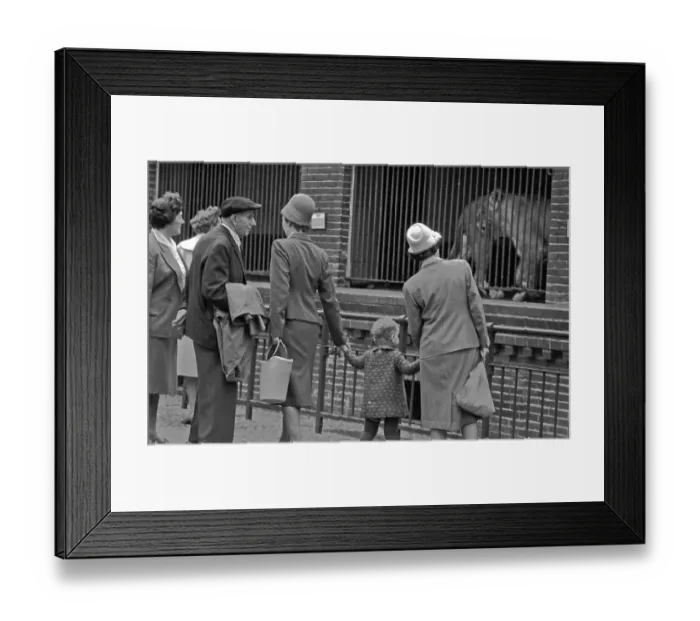 Framed Print : Visit to the Zoo, 1962, Leipzig Framed Print : Visit to the Zoo, 1962, Leipzig